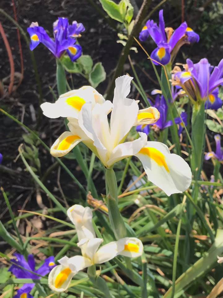 200241973 3972616509496073 433231697559175455 n