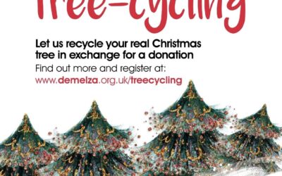 Recycle your Christmas Tree!