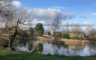 Chislehurst Commons – January Newsletter