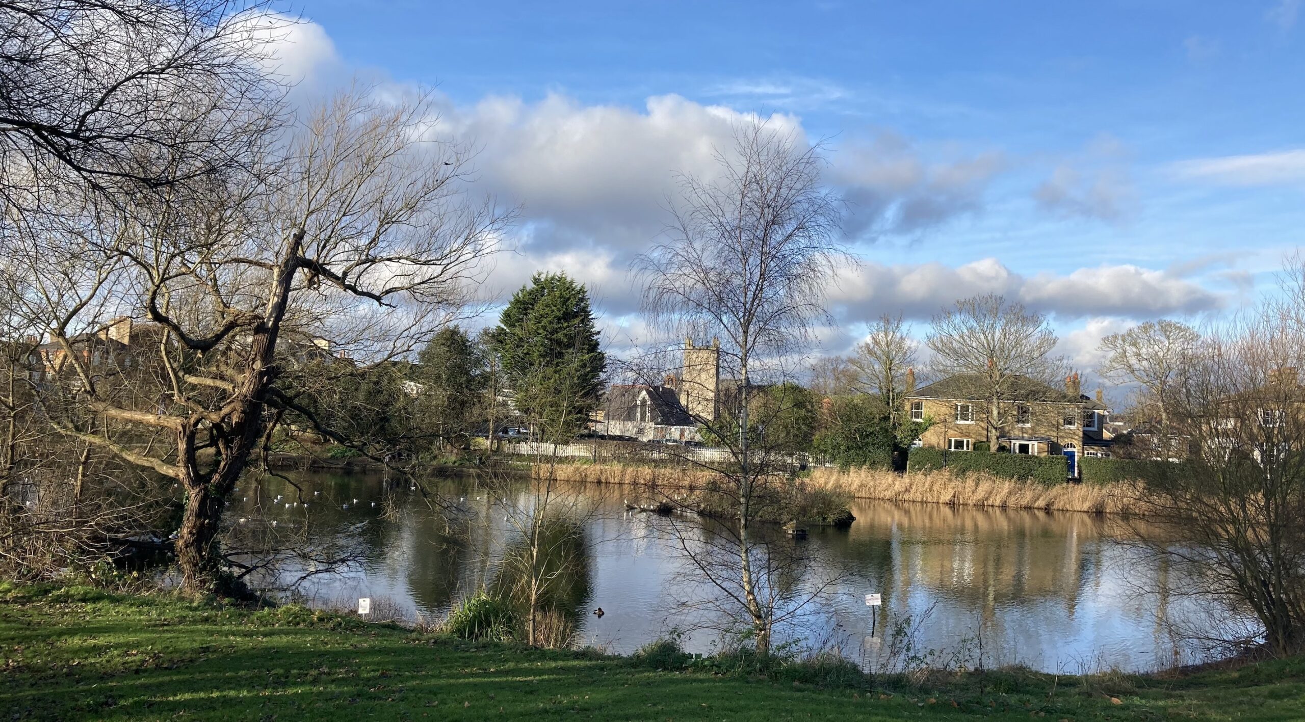 Chislehurst Commons – January Newsletter