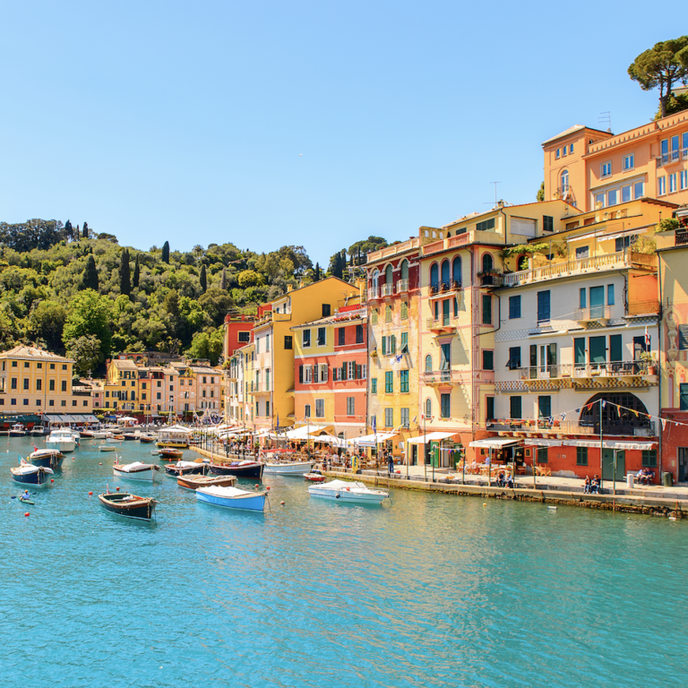 Screenshot 2022 06 30 at 11.31.13 768x768