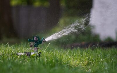 How to keep your garden looking good using less tap water