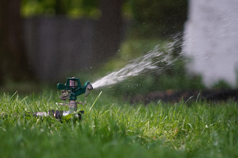 How to keep your garden looking good using less tap water