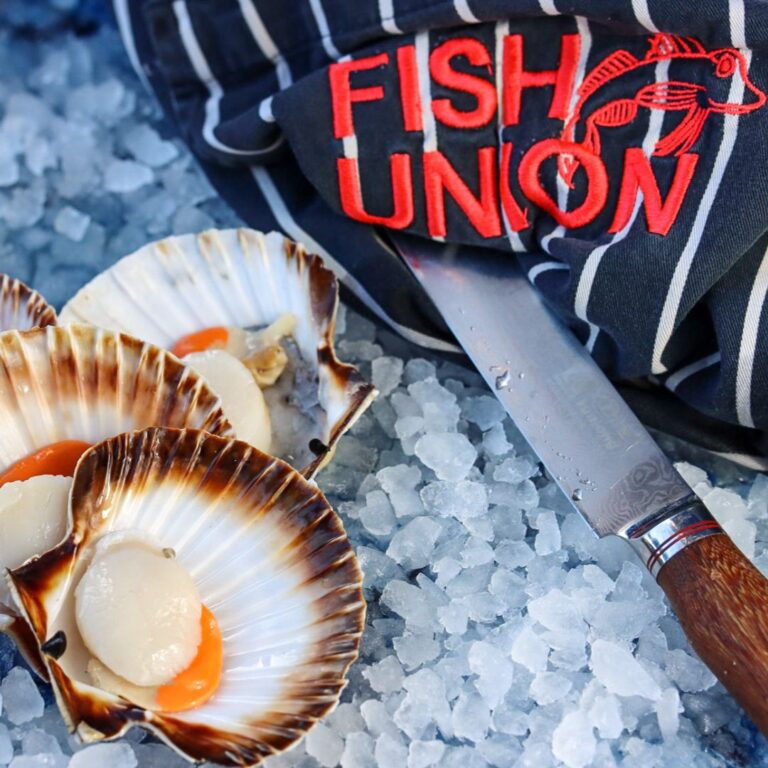 Fish union instagram 23 768x768