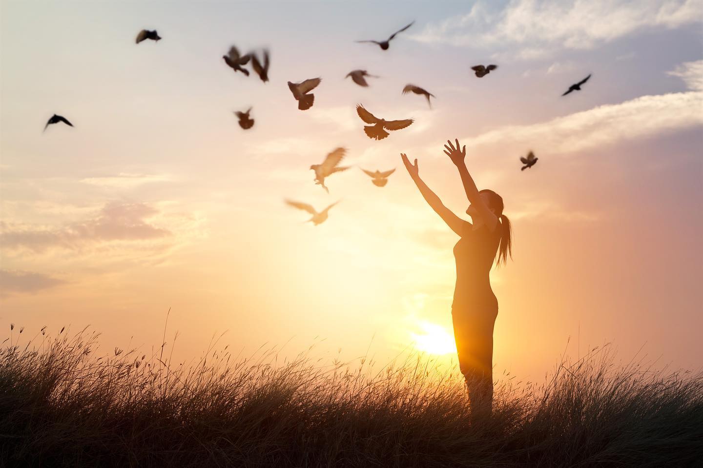 Free to Be