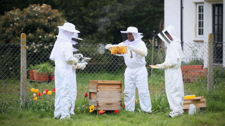 Floreat bee keeping.jpg 768x432