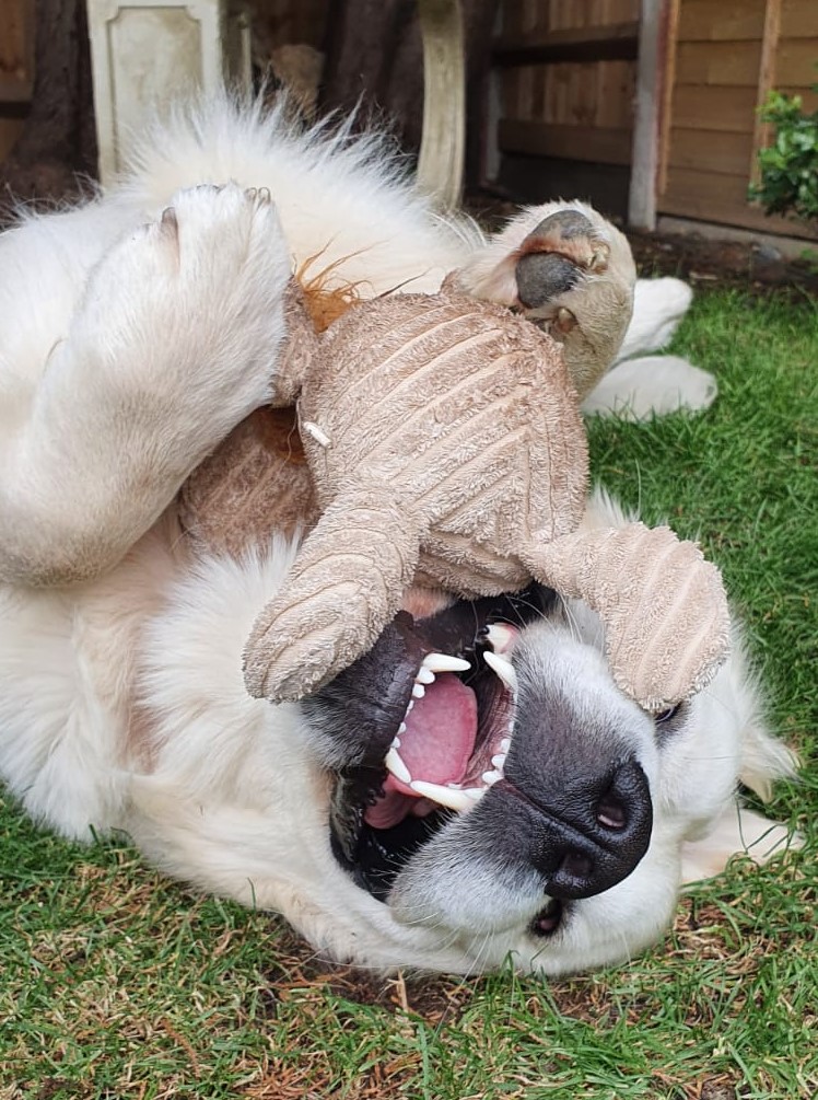 IMG 20200724 WA0072 2